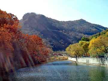 新澳天天开奖资料大全旅游团，蒙古黑药丹神抗骨丸